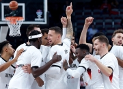 开云官网-瑞典队力克德国队，张本智和统治全场的简单介绍